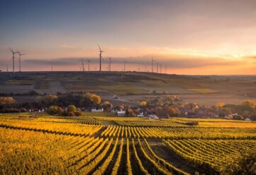 sito 2.jpeg sito 2.jpeg