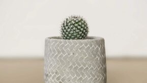 homestore-image-2 homestore-image-2