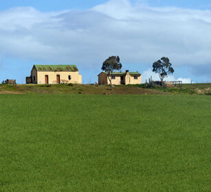 azienda agricola, farm