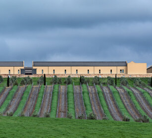 azienda agricola, farm