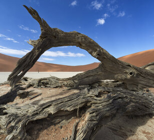paesaggio, landscape Sossusvlei