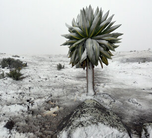 nevicata, snowfall Sanetti plateau