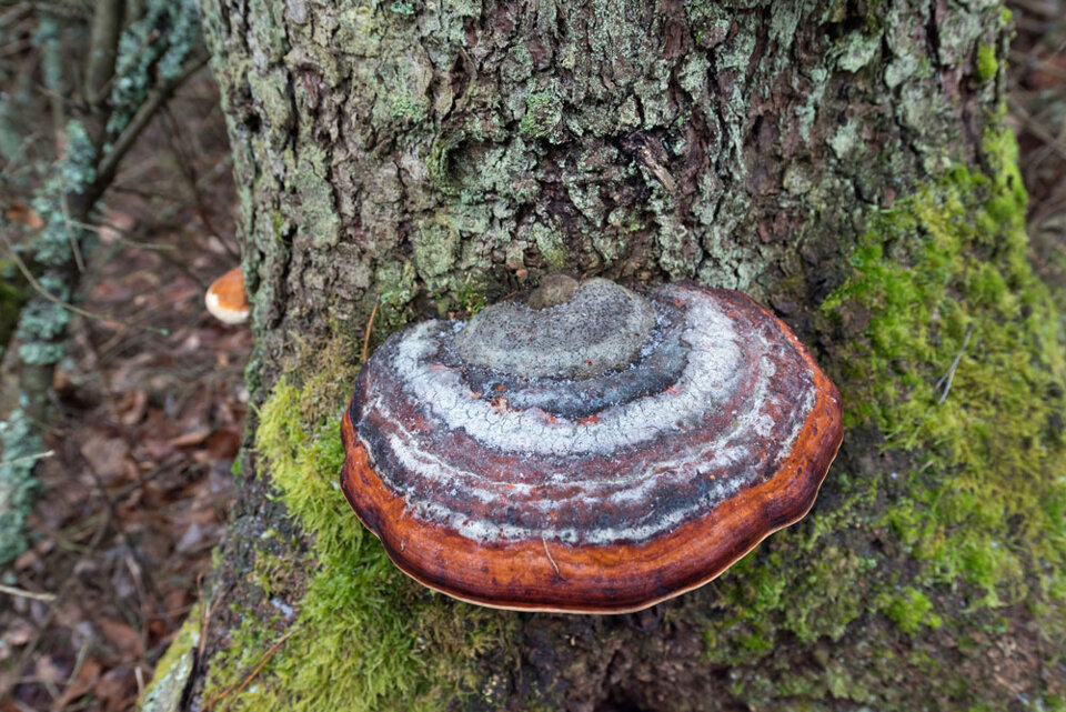 6f59c0c6-8285-472e-8224-ebaa84eaa06d