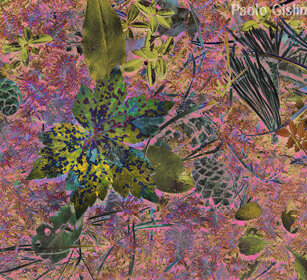 sottobosco, undergrowth