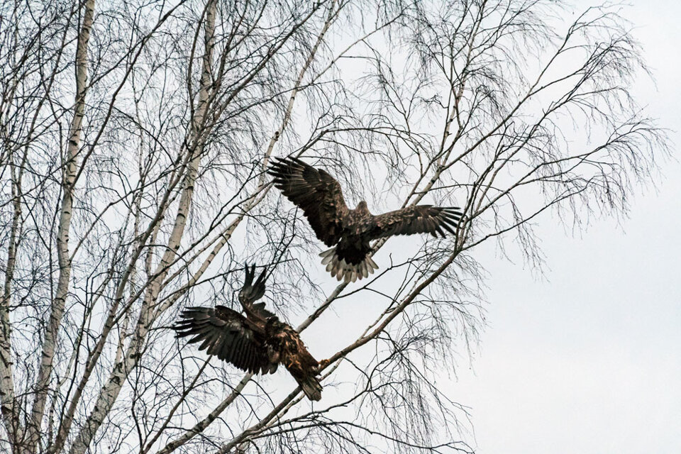 724615f4-8351-44b0-b053-fc3e2cf9f6ce