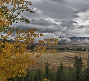 autunno, autumn PN di Yellowstone, Yellowstone NP