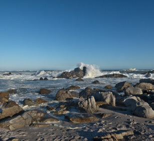 paesaggio, landscape PN della West Coast, West Coast NP