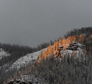 paesaggio, landscape PN di Yellowstone, Yellowstone NP
