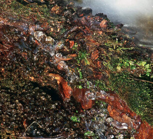 inverno nel torrente, winter in the torrent Torrente Noce, Cantalupa, Piemonte. Noce torrent