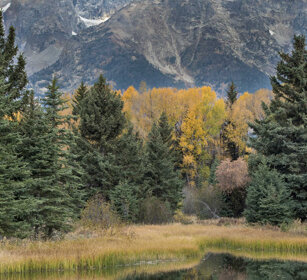 paesaggio, landscape Schwabacher landing, Grand Teton range