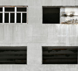 Gabbiani, Kittiwakes Norvegia, Norway, Varanger Gabbiani, Kittiwakes Norvegia, Norway, Varanger
