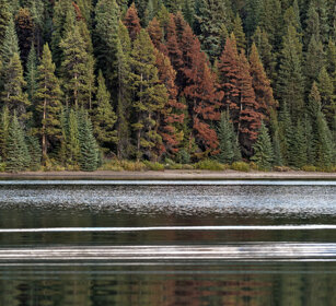 Maligne lake, Jasper NP