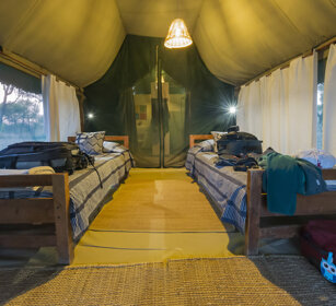 tenda, frame tent Tarangire Safari Lodge, Tarangire NP