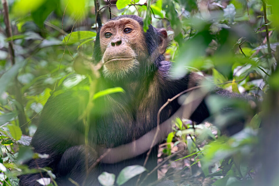 ba4de166-b17d-441a-81b7-247ec1f8a9c6