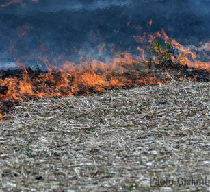 fiamme, fire, Bale mountains