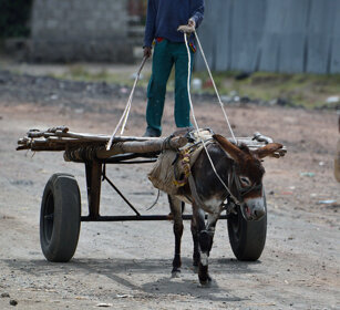 quotidianità, everyday