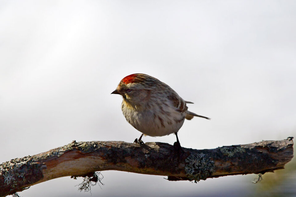 29892b2c-37c0-4eda-8800-e7cced026759 29892b2c-37c0-4eda-8800-e7cced026759