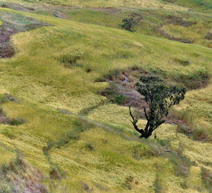 paesaggio, landscape montagne Bale, Bale mountains