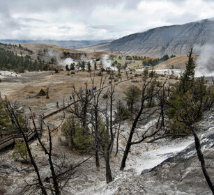Mammoth Hot Springs, Yellowstone