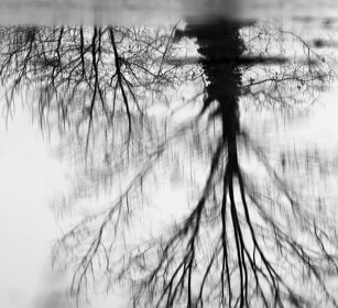 riflessi, reflections