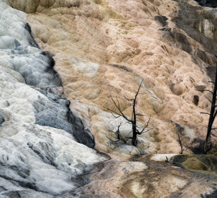 paesaggio, landscape Mammoth Hot spring, PN di Yellowstone, Yellowstone NP
