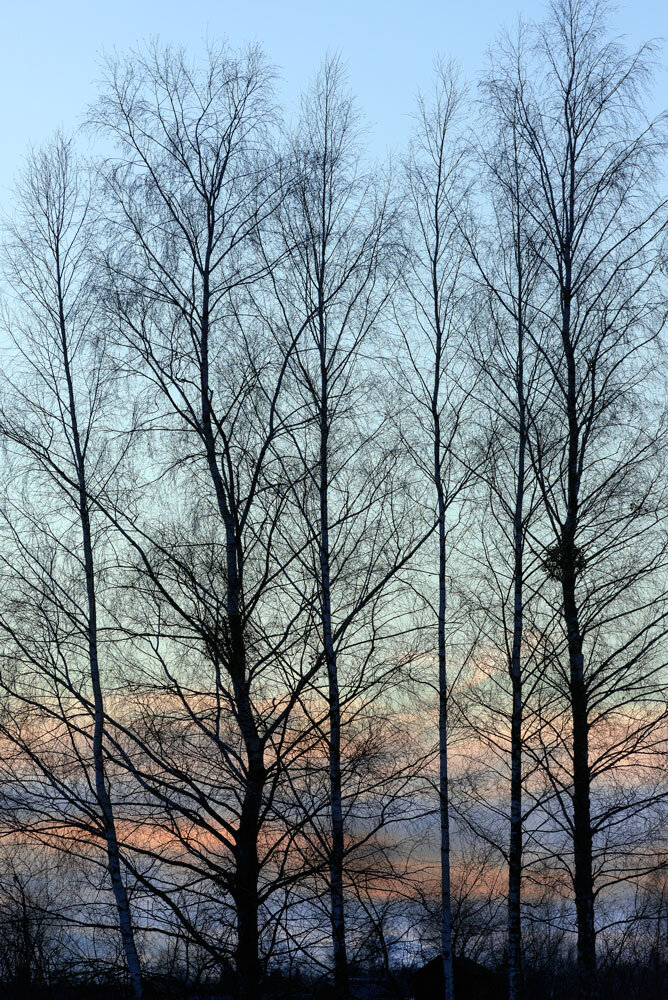 8b1cc61f-1e7a-491a-95f0-462ee8c10276