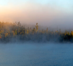 Landscape in the fog Mont Tremblent NP
