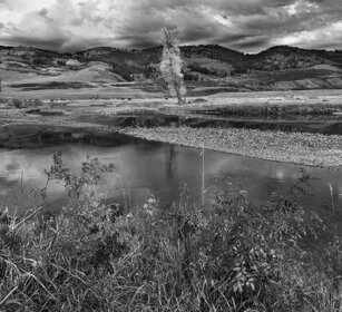 torrente Slough, Slough creek valle Lamar, Lamar valley, Yellowstone