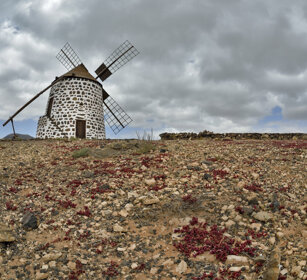 mulino a vento, windmill Fuerteventura
