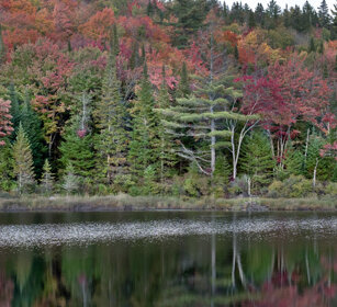 Indian summer lake à Sam, Mauricie NP