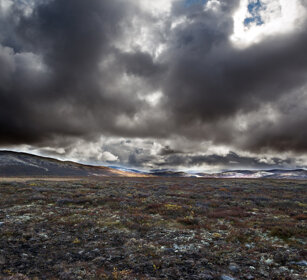 paesaggio, landscape parco nazionale di Dovrefjell, Dovrefjell NP