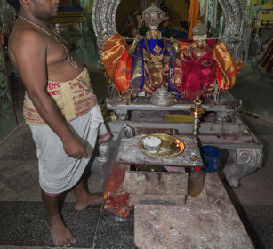 sacerdote Hindu, Hindu priest Ekambareshvara temple, Kanchipuram, Tamil Nadu