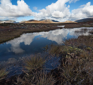 paesaggio, landscape parco nazionale di Dovrefjell, Dovrefjell NP