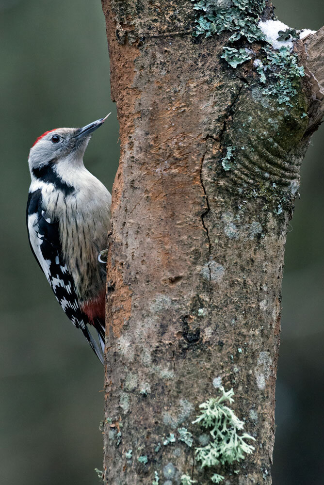 77454ee1-95c0-488a-b038-06208097437d