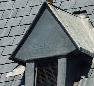 Gheppio (Falco tinnunculus), Kestrel Torino, Turin
