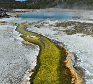 paesaggio, landscape PN di Yellowstone, Yellowstone NP