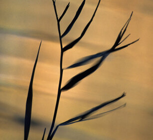 riflessi, reflections