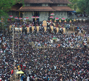 Pooram Elephant Festival 2010 Thrissur, Kerala