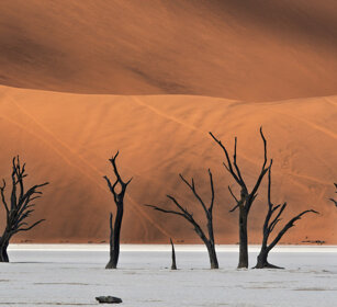 paesaggio, landscape Sossusvlei