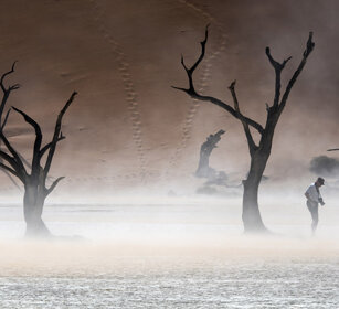 raffica di vento, gust of wind Sossusvlei