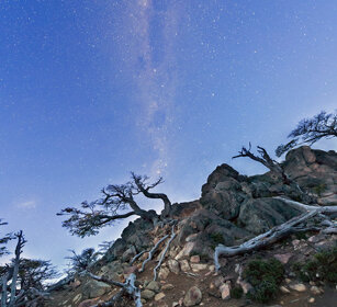 Faggi australi sotto la Via Lattea PN Los Glaciares, Argentina