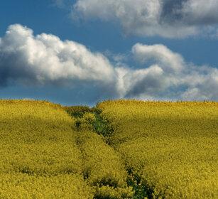 paesaggio, landscape