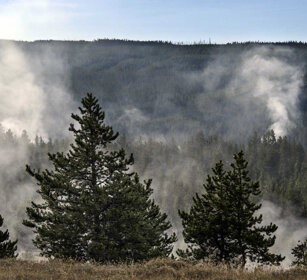 geysers PN di Yellowstone, Yellowstone NP