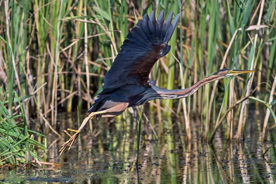 b5e2863a-6bf0-483c-a3d5-a101d95dcc3a.jpeg b5e2863a-6bf0-483c-a3d5-a101d95dcc3a.jpeg