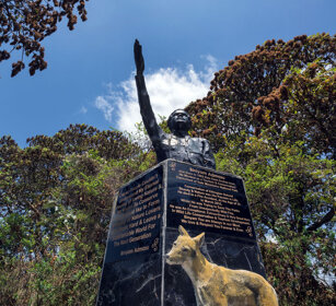 monumento a B. Admasu, B. Admasu monument Dinsho forest