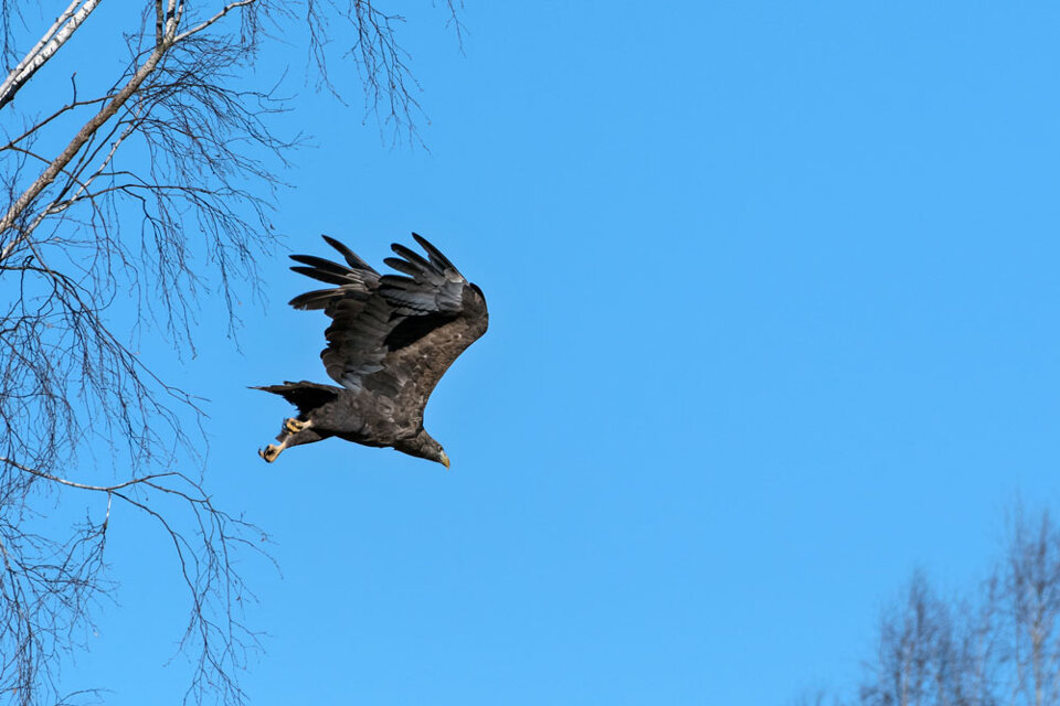 81fddcc2-8b67-4c30-a2a1-3a000dff0375