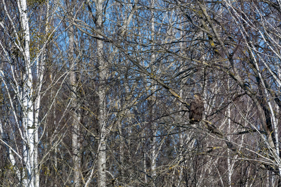 939156c6-21ff-4f15-b863-3cf44815c00f