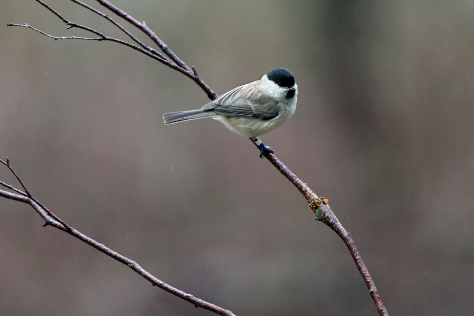 f15bb37a-bfd5-488c-b295-d64f01000c2b