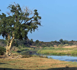 paesaggio, landscape PN Kruger, Kruger NP