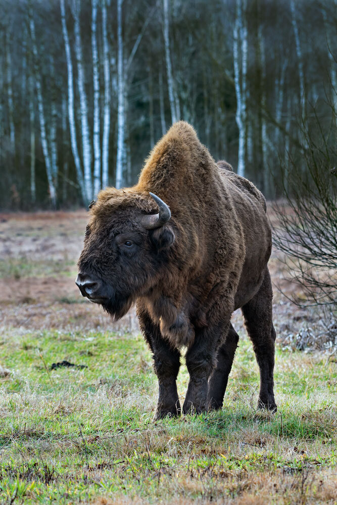 717903bb-5040-4647-b5b3-9b0e77f3e976